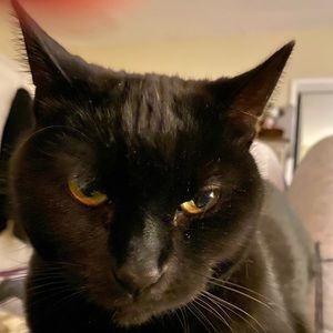 Meet your Posher, Jordan